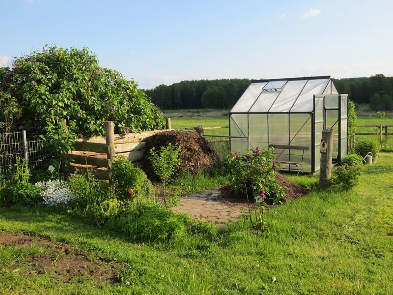 Neighborhood Allotments