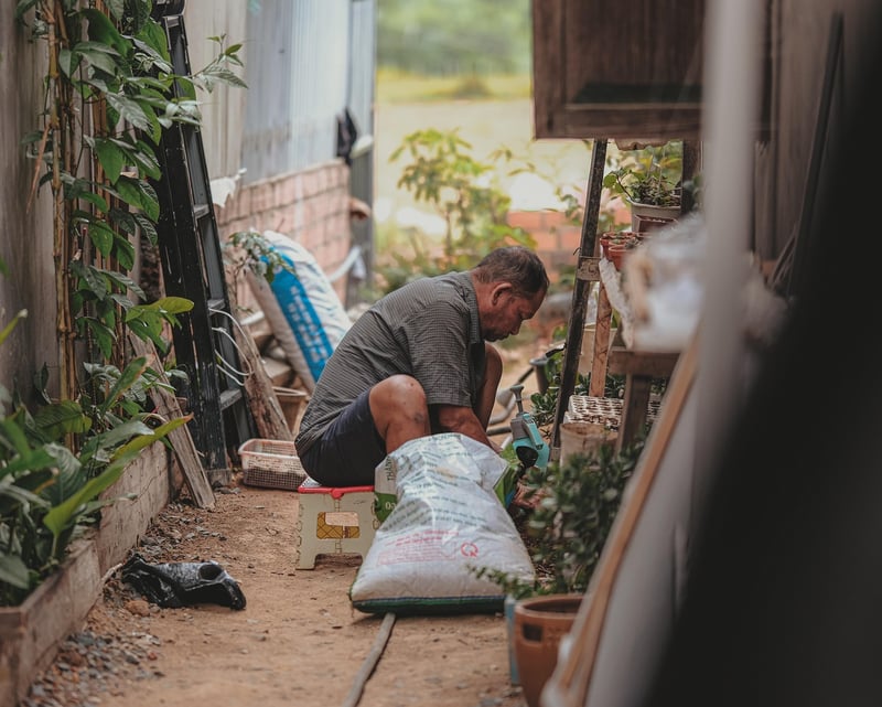 Urban Harvesting
