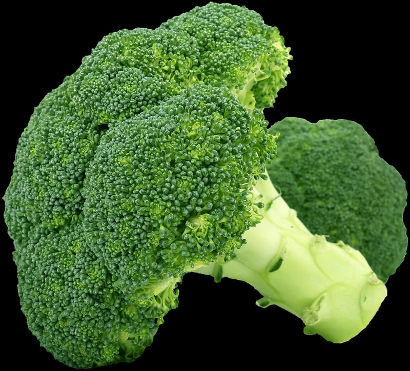 Fresh organic vegetables